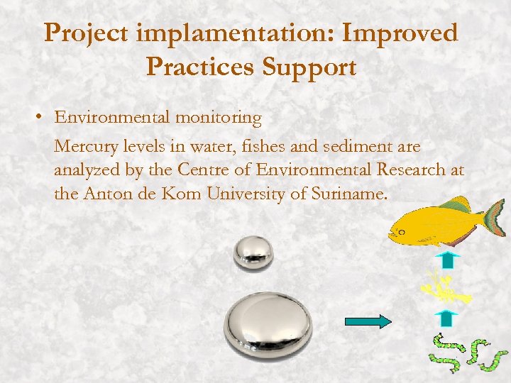 Project implamentation: Improved Practices Support • Environmental monitoring Mercury levels in water, fishes and