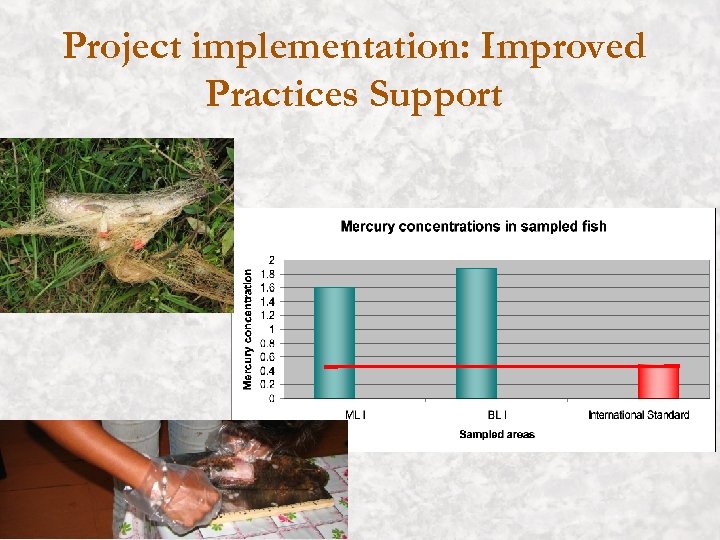 Project implementation: Improved Practices Support 