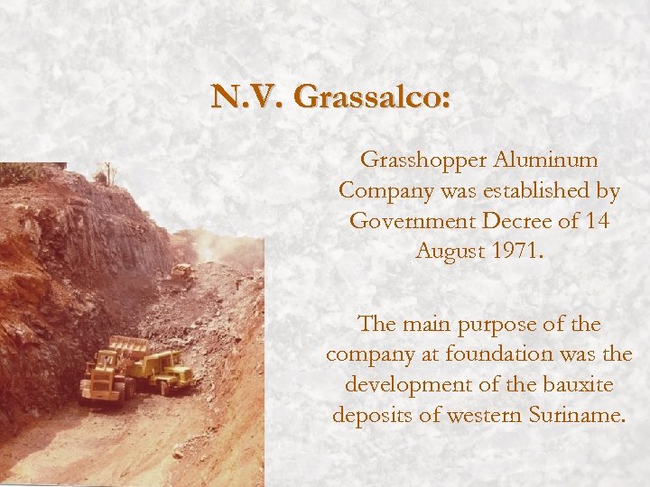 N. V. Grassalco: Grasshopper Aluminum Company was established by Government Decree of 14 August