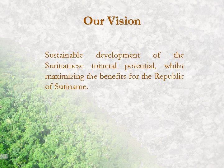 Our Vision Sustainable development of the Surinamese mineral potential, whilst maximizing the benefits for