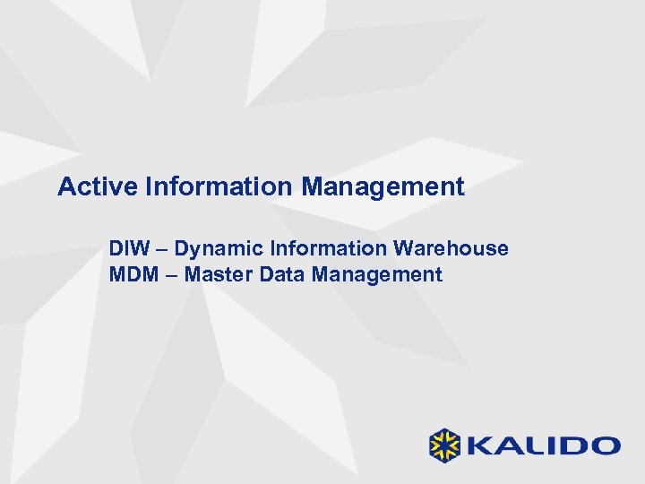 Active Information Management DIW – Dynamic Information Warehouse MDM – Master Data Management 