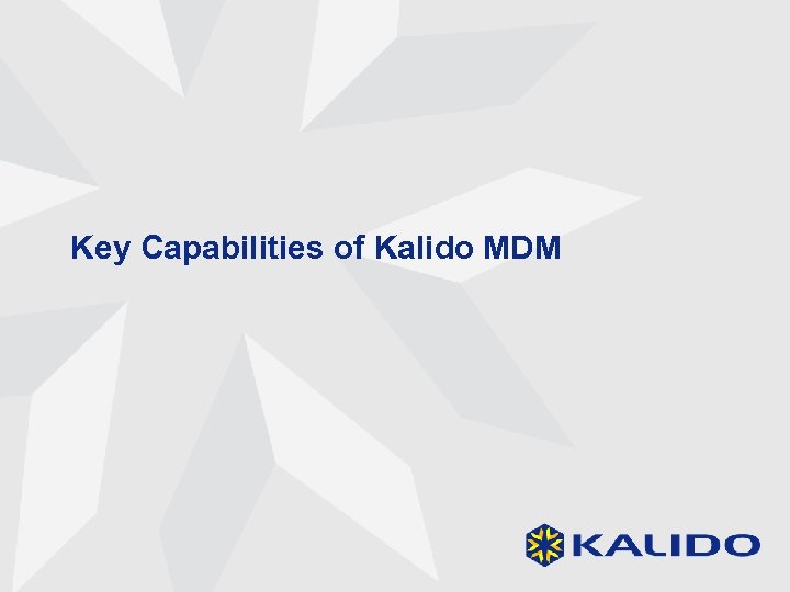 Key Capabilities of Kalido MDM 