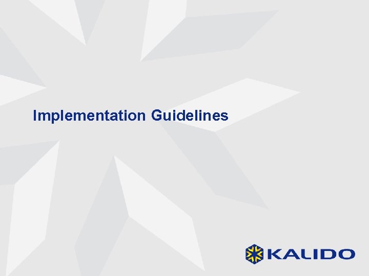 Implementation Guidelines 