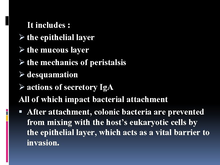 It includes : Ø the epithelial layer Ø the mucous layer Ø the mechanics