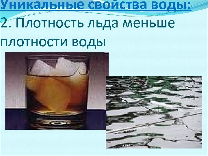 Уникальные свойства воды: 2. Плотность льда меньше плотности воды 