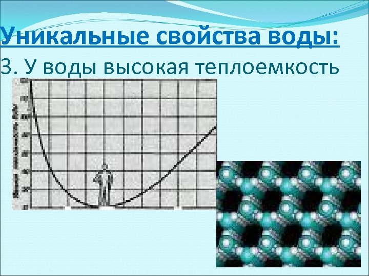Уникальные свойства воды: 3. У воды высокая теплоемкость 