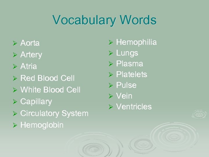 Vocabulary Words Aorta Ø Artery Ø Atria Ø Red Blood Cell Ø White Blood