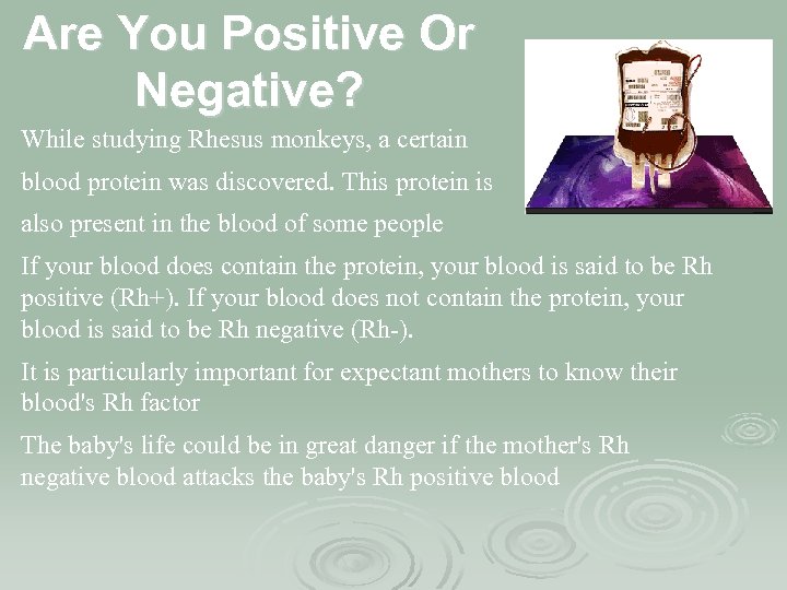 Are You Positive Or Negative? While studying Rhesus monkeys, a certain blood protein was