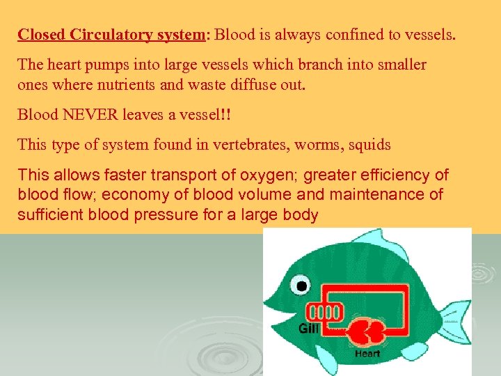 Closed Circulatory system: Blood is always confined to vessels. The heart pumps into large