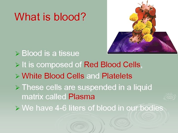 What is blood? Ø Blood is a tissue Ø It is composed of Red