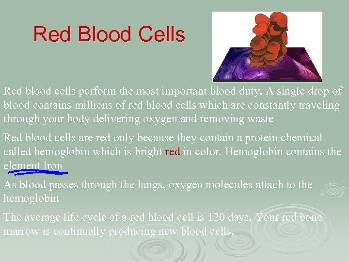 Red Blood Cells Red blood cells perform the most important blood duty. A single
