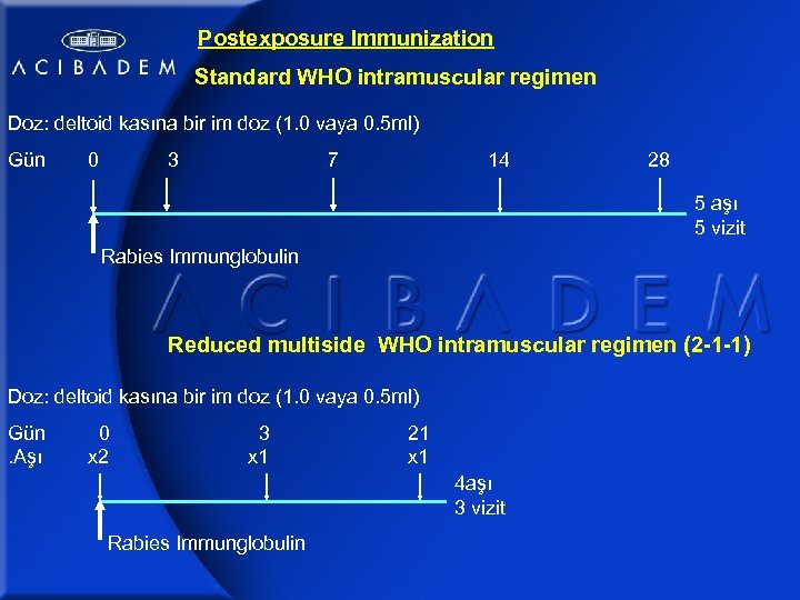 Postexposure Immunization Standard WHO intramuscular regimen Doz: deltoid kasına bir im doz (1. 0