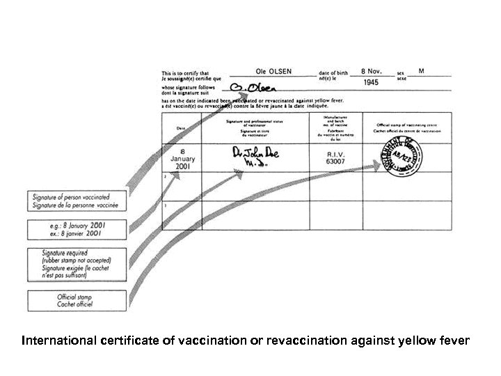 International certificate of vaccination or revaccination against yellow fever 