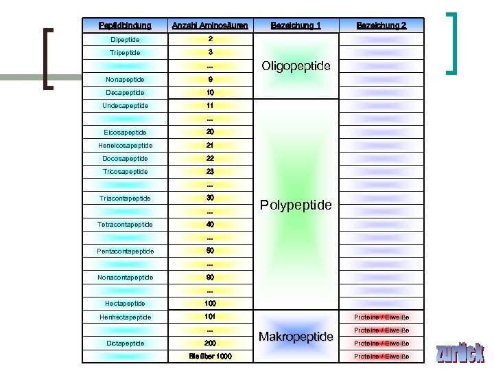 Peptidbindung Anzahl Aminosäuren Dipeptide 2 Tripeptide 3 … Nonapeptide Oligopeptide 10 Undecapeptide Bezeichung 2