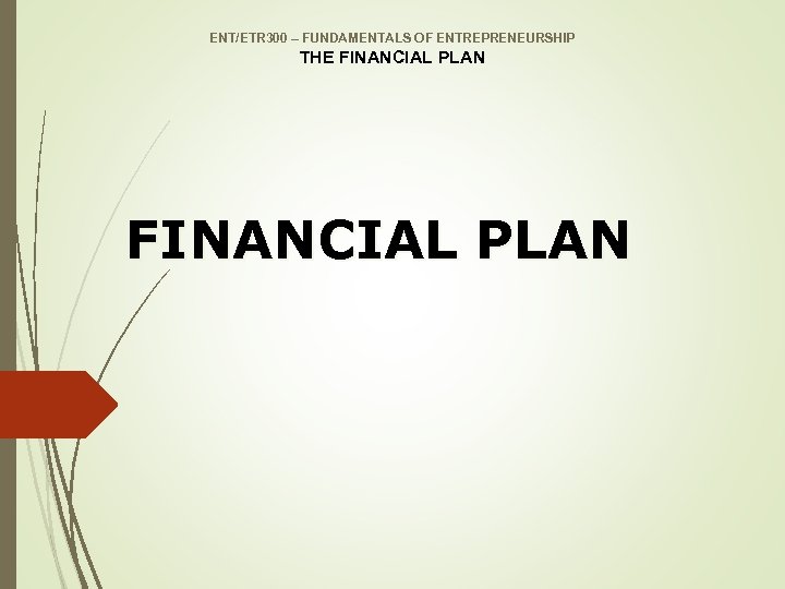 ENT/ETR 300 – FUNDAMENTALS OF ENTREPRENEURSHIP THE FINANCIAL PLAN 