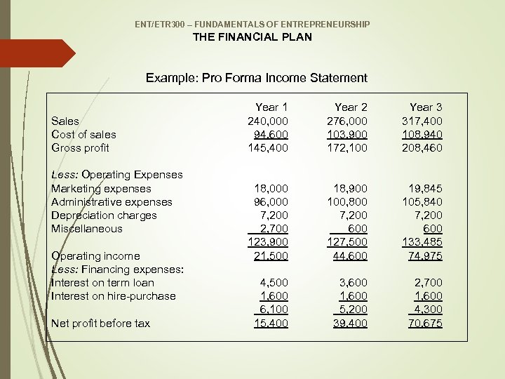 ENT/ETR 300 – FUNDAMENTALS OF ENTREPRENEURSHIP THE FINANCIAL PLAN Example: Pro Forma Income Statement
