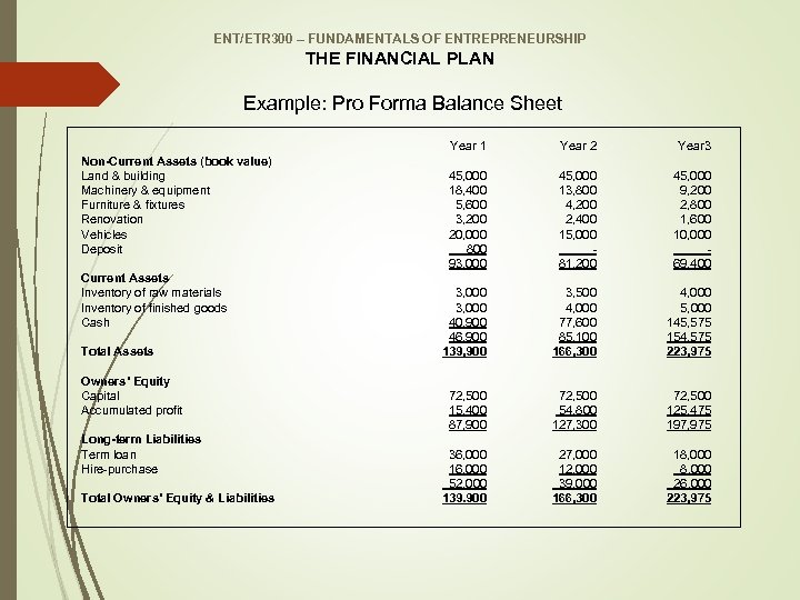 ENT/ETR 300 – FUNDAMENTALS OF ENTREPRENEURSHIP THE FINANCIAL PLAN Example: Pro Forma Balance Sheet