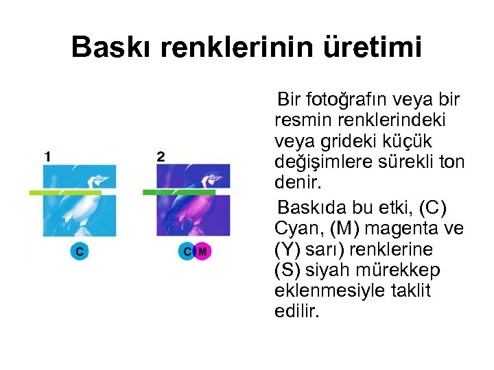Baskı renklerinin üretimi Bir fotoğrafın veya bir resmin renklerindeki veya grideki küçük değişimlere sürekli