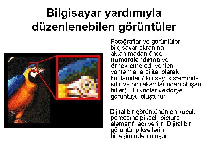 Bilgisayar yardımıyla düzenlenebilen görüntüler Fotoğraflar ve görüntüler bilgisayar ekranına aktarılmadan önce numaralandırma ve örnekleme