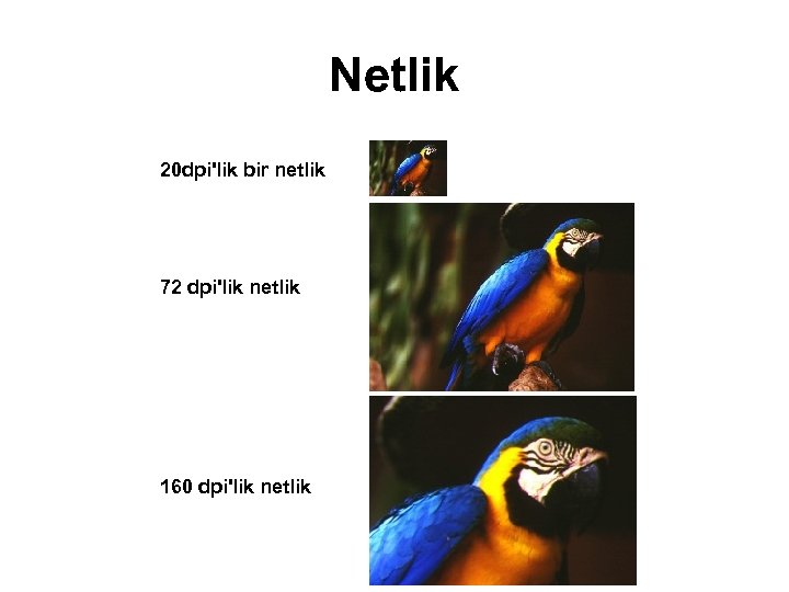 Netlik 20 dpi'lik bir netlik 72 dpi'lik netlik 160 dpi'lik netlik 