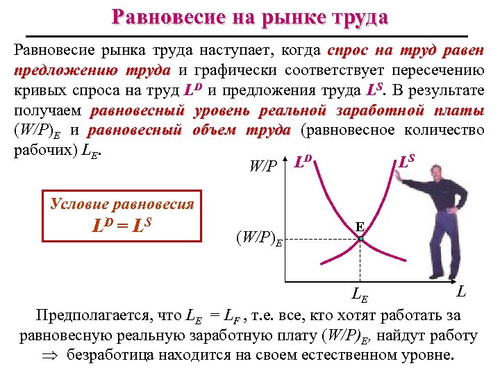 Равновесие на рынке труда Равновесие рынка труда наступает, когда спрос на труд равен предложению