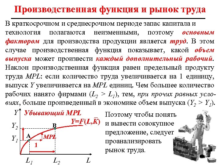 Производственная функция и рынок труда В краткосрочном и среднесрочном периоде запас капитала и технология