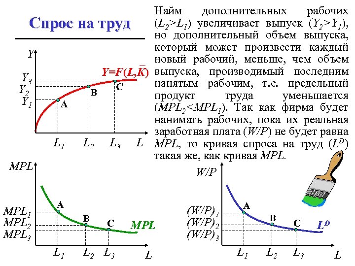 Найм дополнительных рабочих (L 2>L 1) увеличивает выпуск (Y 2>Y 1), Спрос на труд