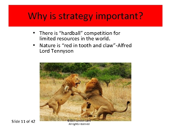 Why is strategy important? • There is “hardball” competition for limited resources in the