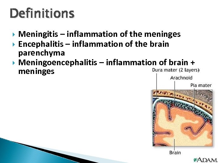 Definitions Meningitis – inflammation of the meninges Encephalitis – inflammation of the brain parenchyma