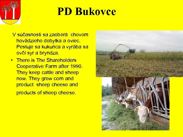 PD Bukovce V súčasnosti sa zaoberá chovom hovädzieho dobytka a oviec. Pestuje sa kukurica