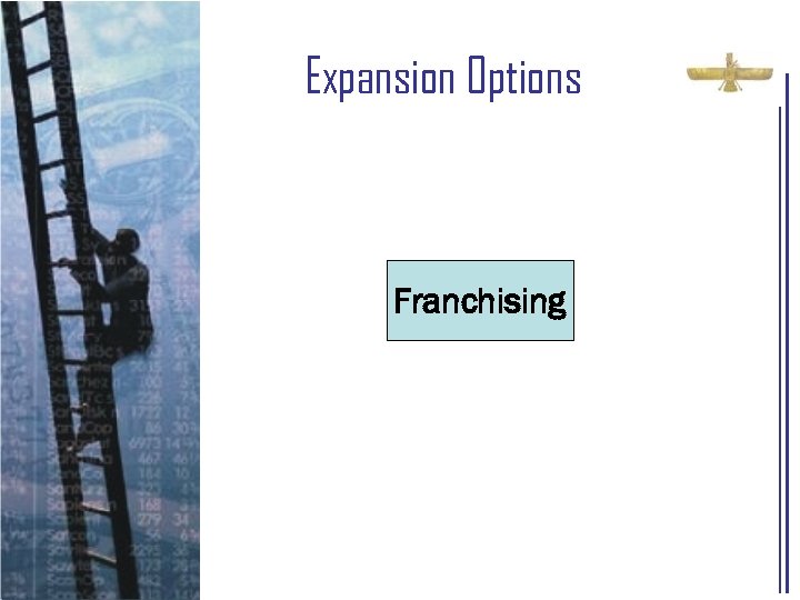 Expansion Options Franchising 