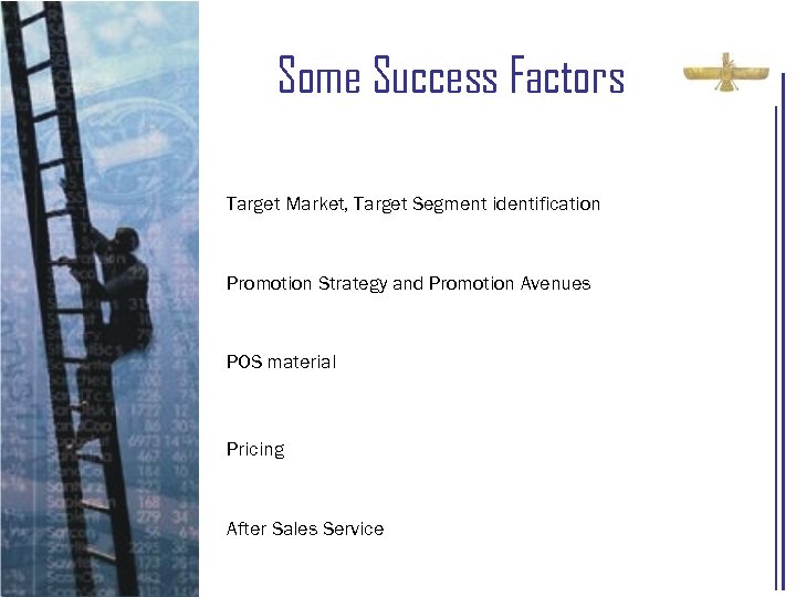 Some Success Factors Target Market, Target Segment identification Promotion Strategy and Promotion Avenues POS
