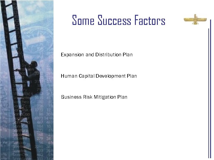 Some Success Factors Expansion and Distribution Plan Human Capital Development Plan Business Risk Mitigation