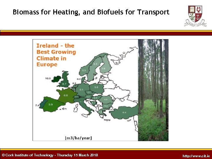Biomass for Heating, and Biofuels for Transport © Cork Institute of Technology - Thursday