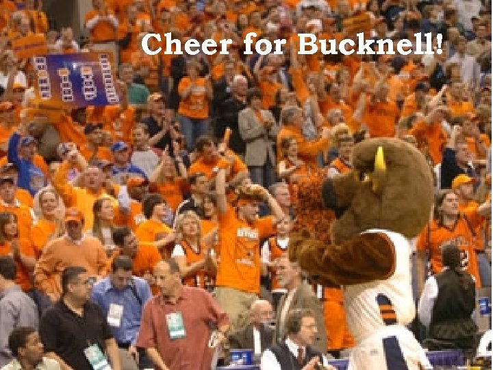 Cheer for Bucknell! 