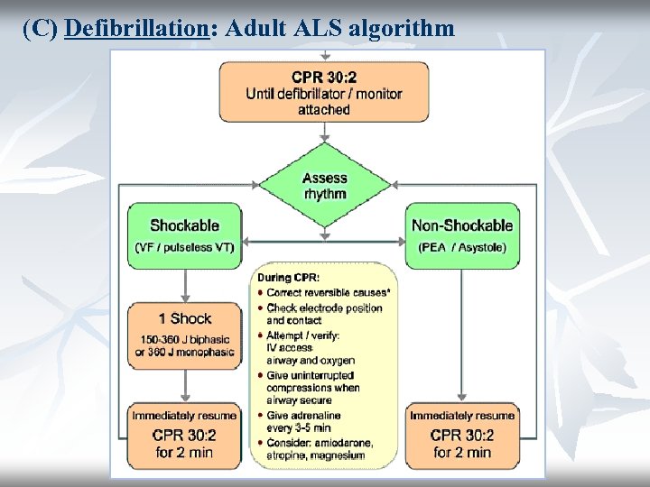 (C) Defibrillation: Adult ALS algorithm 