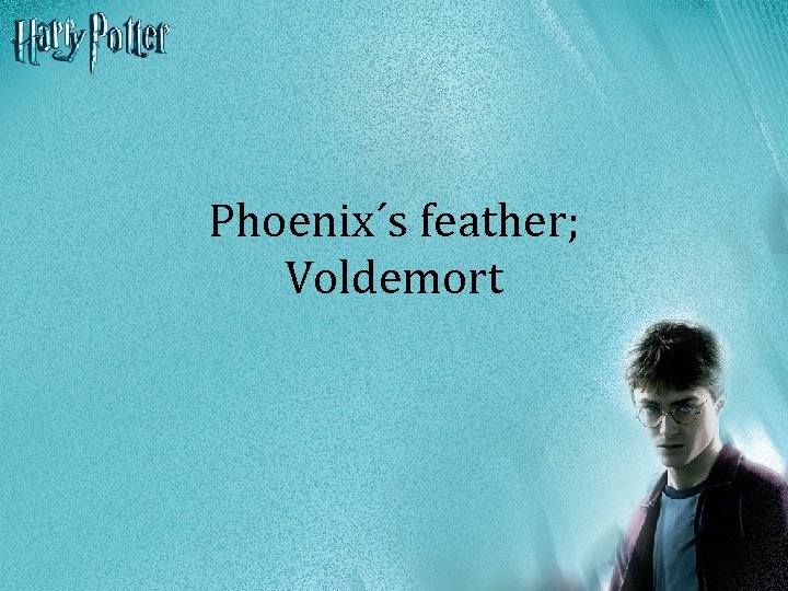 Phoenix´s feather; Voldemort 