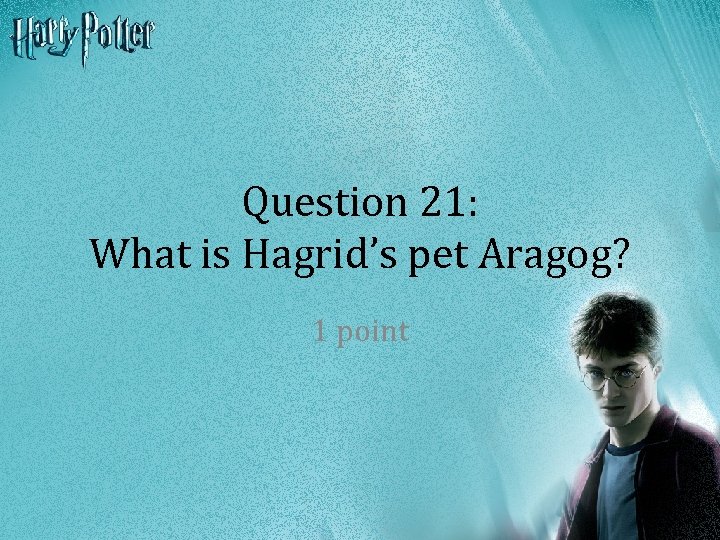 Question 21: What is Hagrid’s pet Aragog? 1 point 