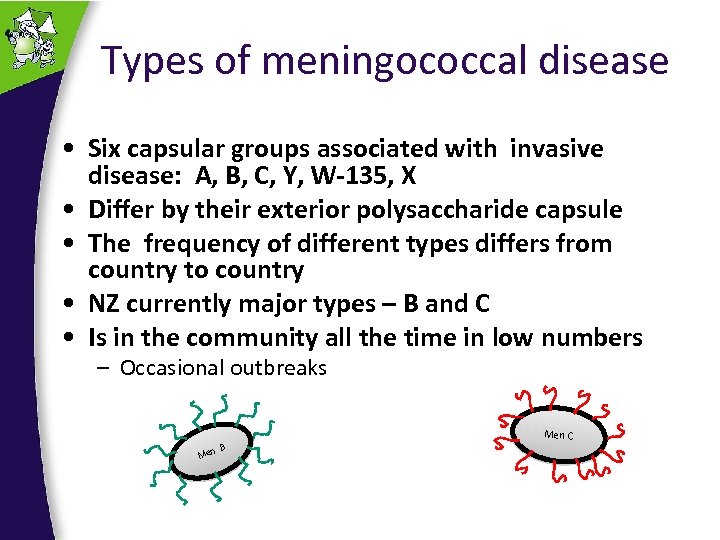 Types of meningococcal disease • Six capsular groups associated with invasive disease: A, B,