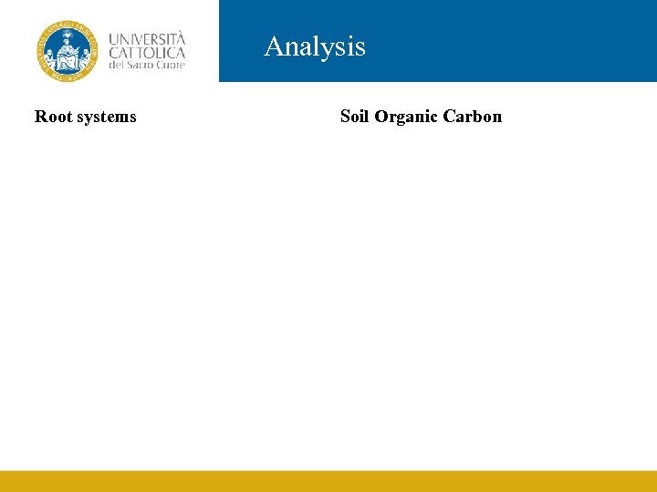 Analysis Root systems Soil Organic Carbon 