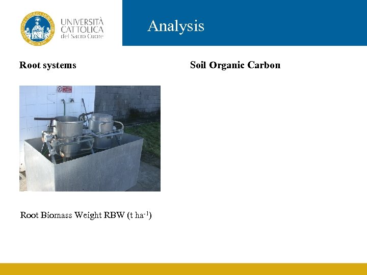 Analysis Root systems Root Biomass Weight RBW (t ha-1) Soil Organic Carbon 