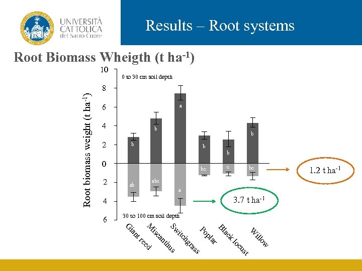 Results – Root systems Root Biomass Wheigth (t ha-1) 10 0 to 30 cm
