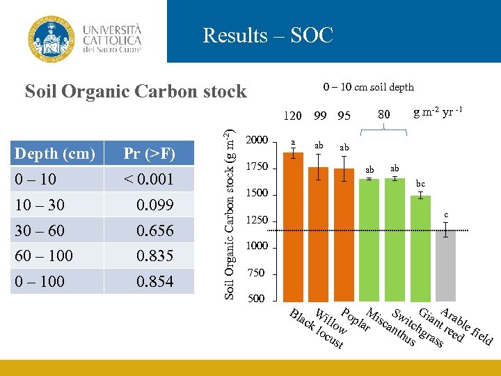 Results – SOC Soil Organic Carbon stock 0 – 10 cm soil depth Depth