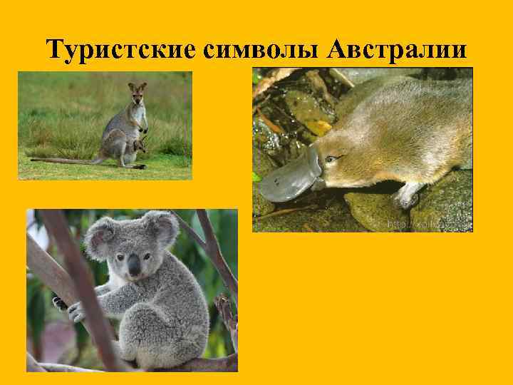 Туристские символы Австралии 