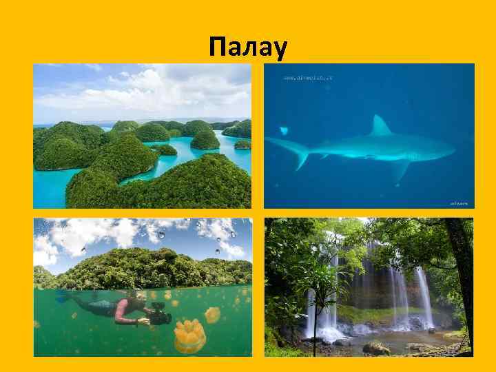 Палау 