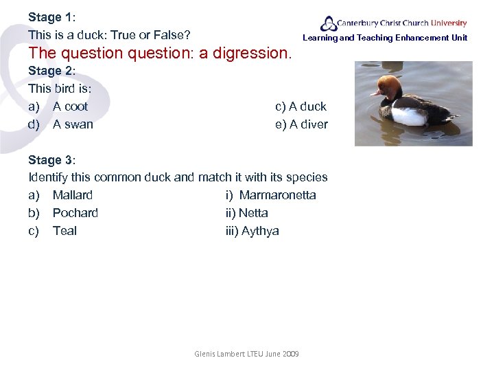 Stage 1: This is a duck: True or False? Learning and Teaching Enhancement Unit