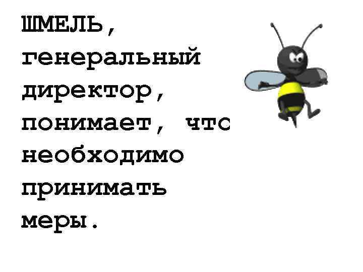 ШМЕЛЬ, генеральный директор, понимает, что необходимо принимать меры. 