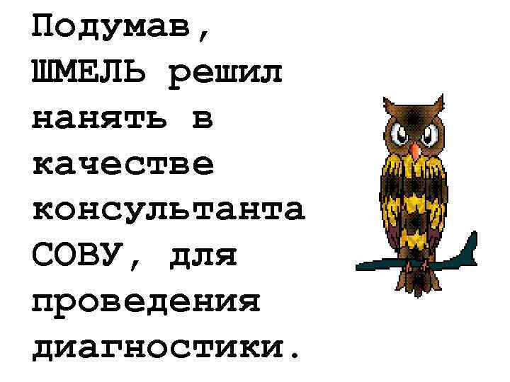 Подумав, ШМЕЛЬ решил нанять в качестве консультанта СОВУ, для проведения диагностики. 