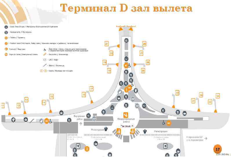 Терминал d Шереметьево схема аэропорта.