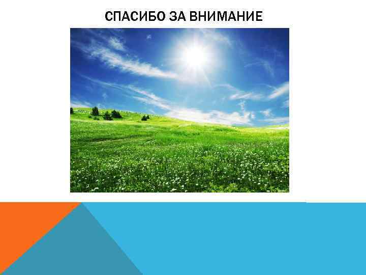 СПАСИБО ЗА ВНИМАНИЕ 